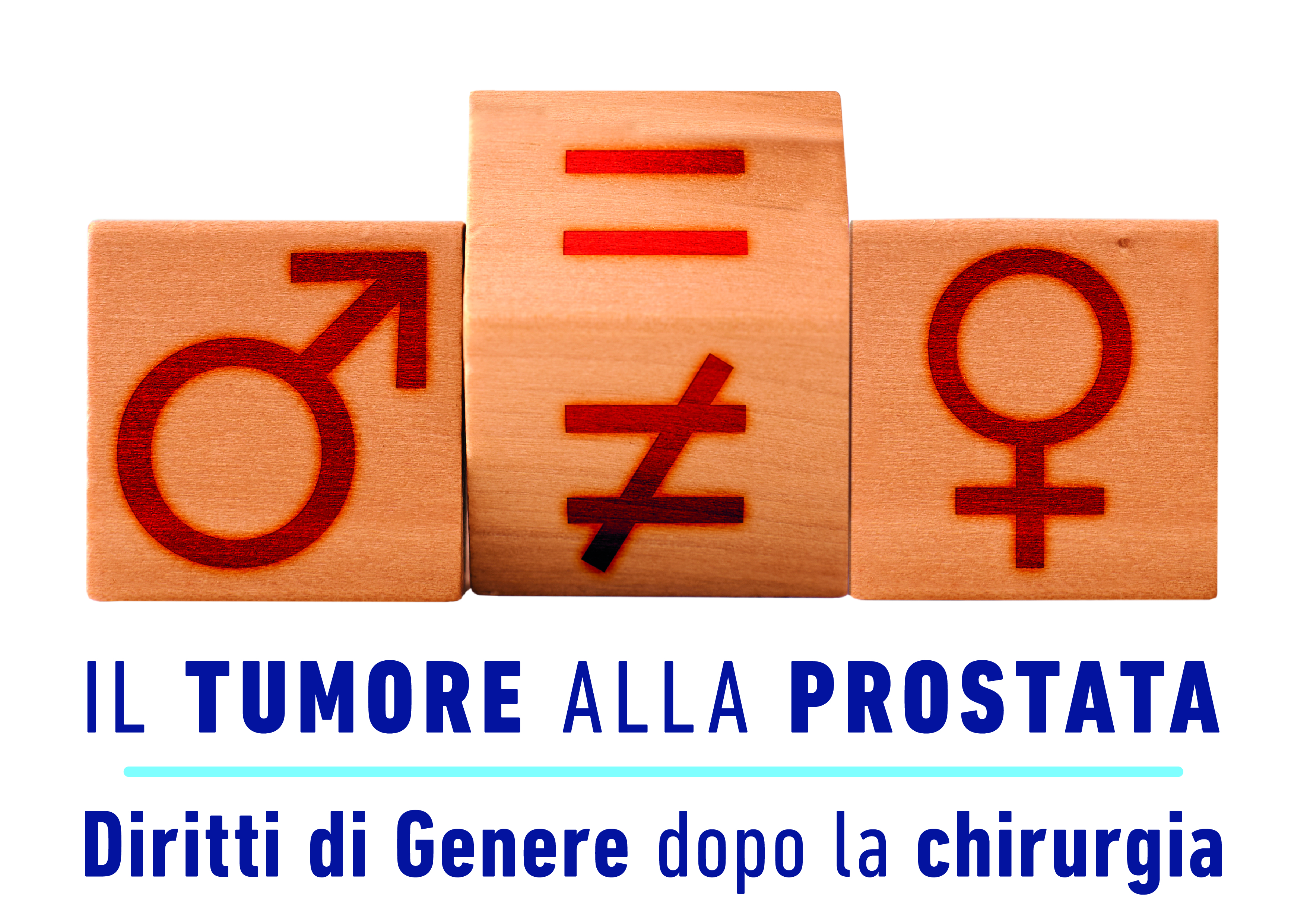 logo diritti di genere dadi bianco